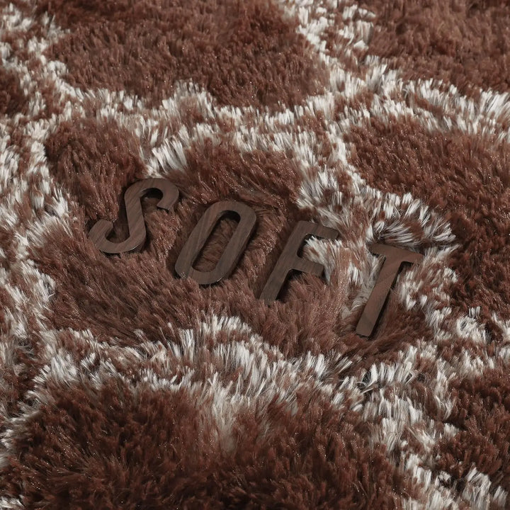 Large Shag Area Rugs for Bedroom Super Soft Plush Fluffy Carpets Living Room Rug Non-Slip Indoor Floor Rug for Kids Nursery Girl