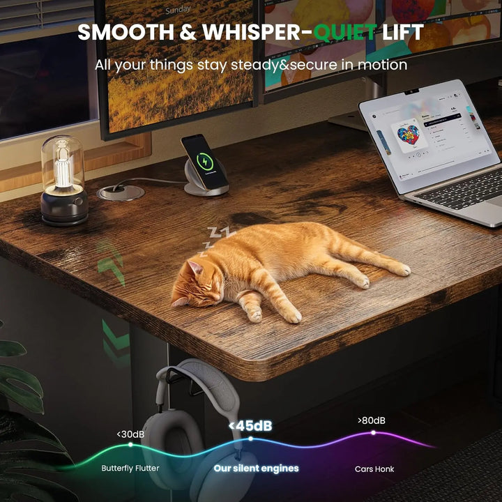 Electric Standing Desk Adjustable-63 x 24 Inch Sit Stand up Desk with Cable Management - 3 Memory Preset Adjustable Height Table