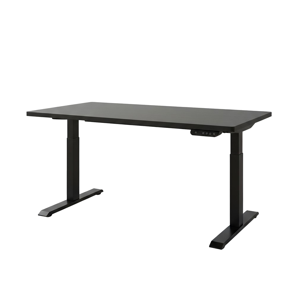 Black on Black 52" Bamboo Dual Motor Electric Office Adjustable Computer Desk