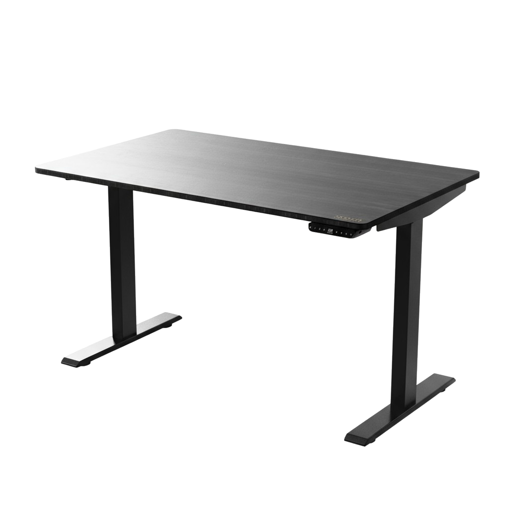 Black on Black 45" Bamboo Dual Motor Electric Office Adjustable Computer Desk