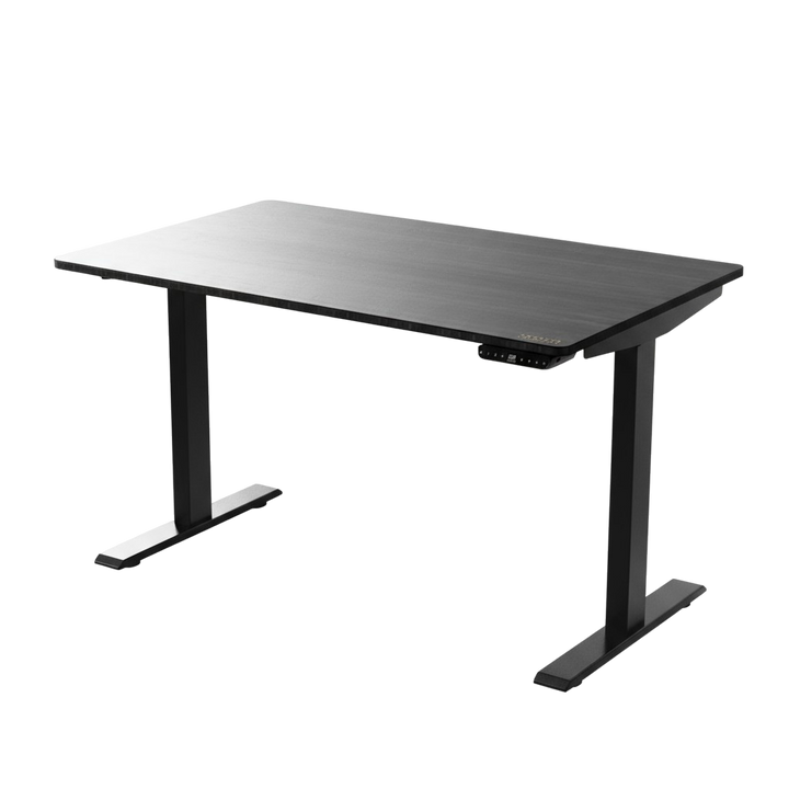 Black on Black 45" Bamboo Dual Motor Electric Office Adjustable Computer Desk