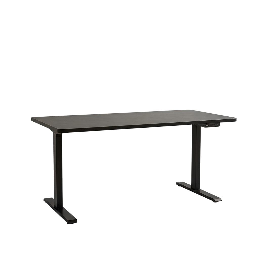 Black on Black 52" Bamboo Dual Motor Electric Office Adjustable Computer Desk