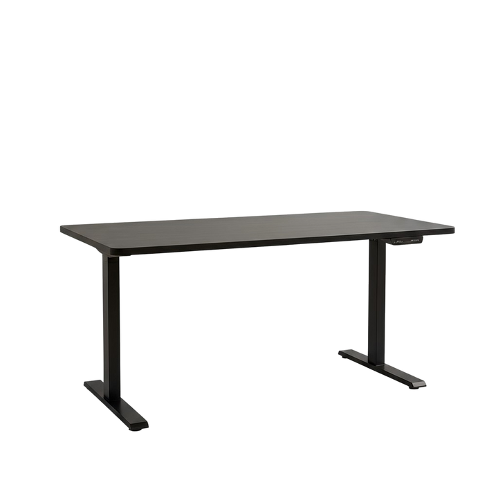 Black on Black 52" Bamboo Dual Motor Electric Office Adjustable Computer Desk