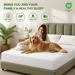 Bamboo material features of the waterproof mattress protector