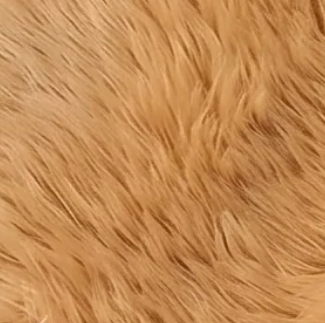 Plush Faux Fur Sheepskin Rug – Soft & Cozy Area Runner