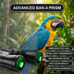 Step-by-step guide to adjusting binocular focus and diopter settings