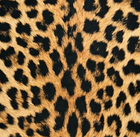Faux Cowhide Rug – Animal Print Area Rug for Living Room, Bedroom & Office