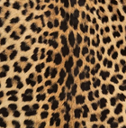 Faux Cowhide Rug – Animal Print Area Rug for Living Room, Bedroom & Office