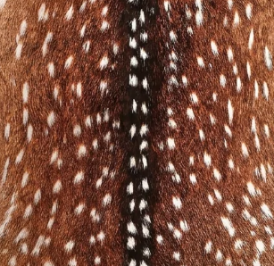 Faux Cowhide Rug – Animal Print Area Rug for Living Room, Bedroom & Office
