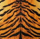 Faux Cowhide Rug – Animal Print Area Rug for Living Room, Bedroom & Office