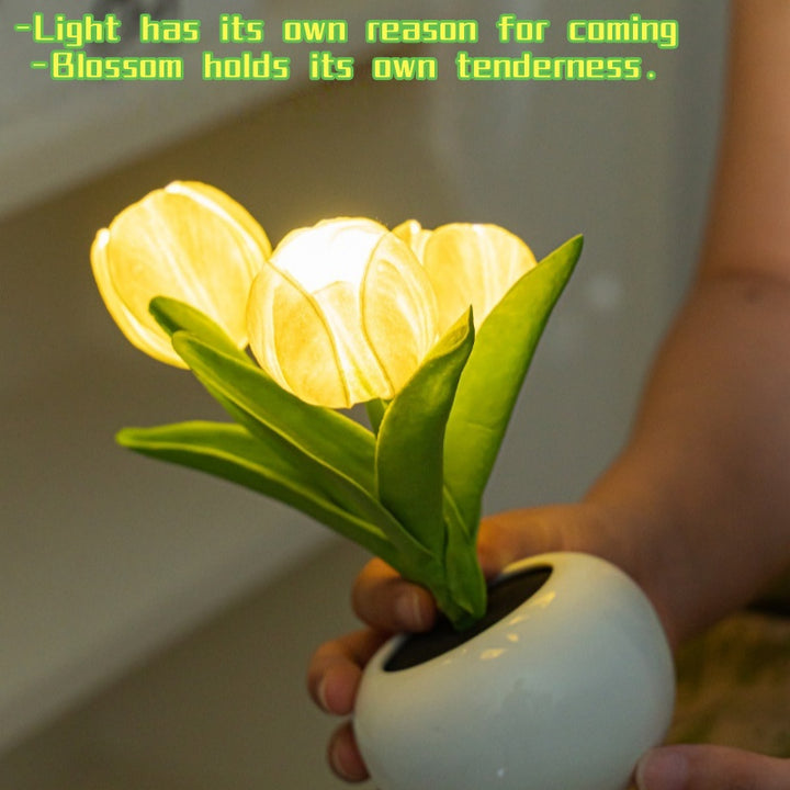 Tulip Lamp - LED Replica Tulip Table Lamp with Flower Vase for Desktop Decoration. Suitable for home, living room, desktop decoration, holiday gifts, atmosphere decoration lamps. Powered by USB, with