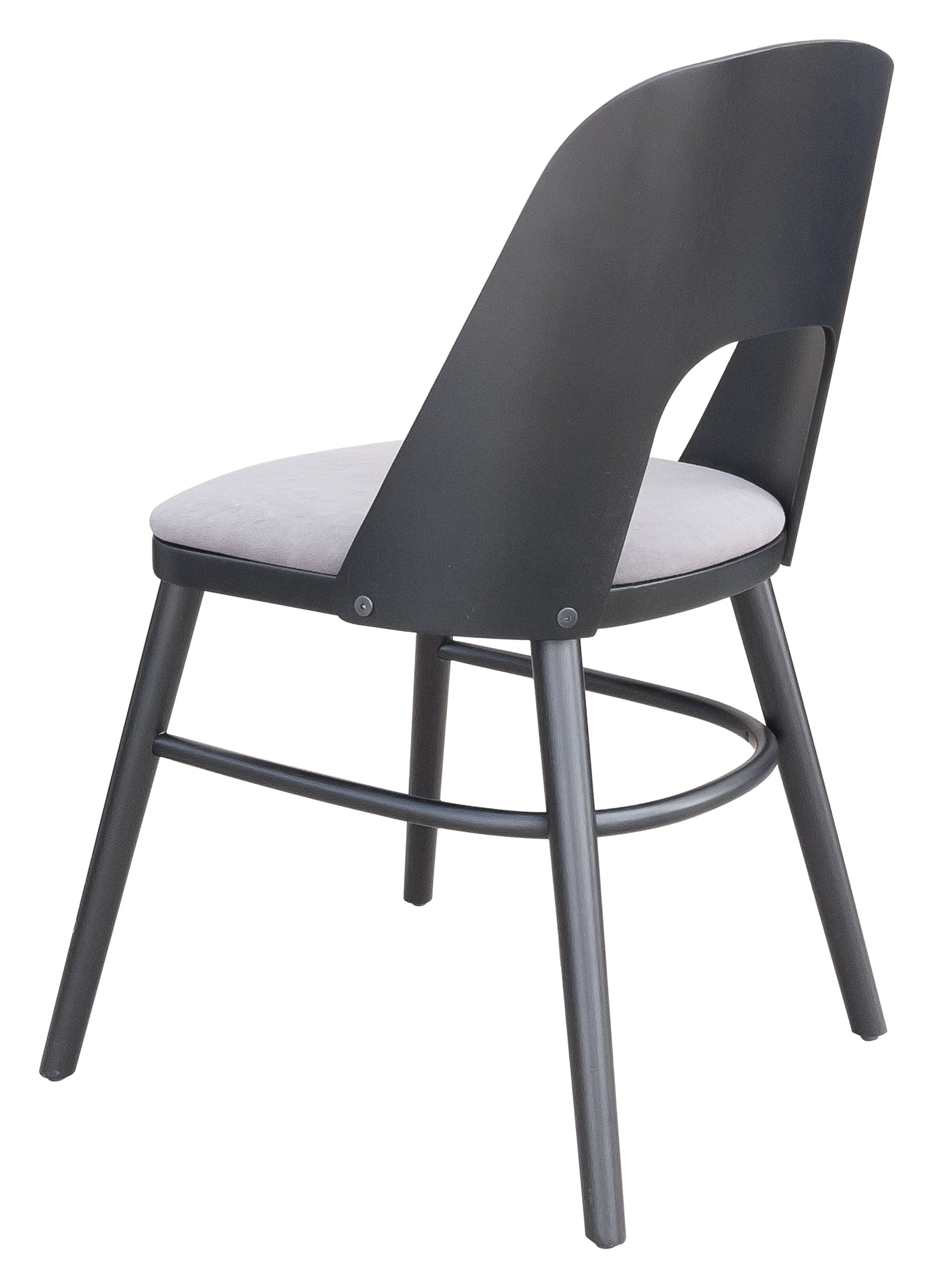 Iago Dining Chair (Set of 2) Gray & Black