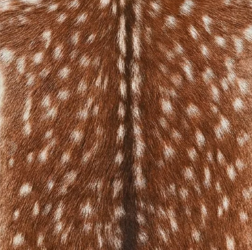 Faux Cowhide Rug – Animal Print Area Rug for Living Room, Bedroom & Office