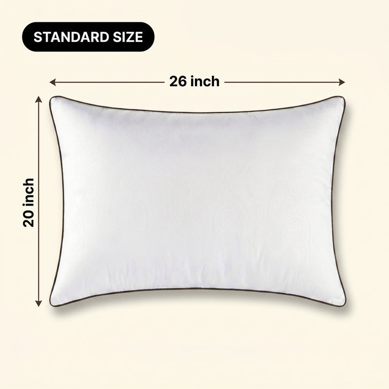 Woman holding a down alternative pillow beside a Queen size dimension graphic showing 30 inch by 20 inch measurements