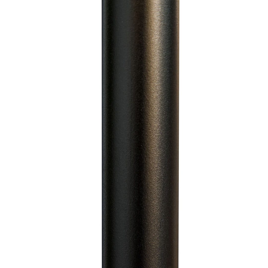 423006691
