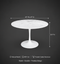 Phoenix Dining Table White
