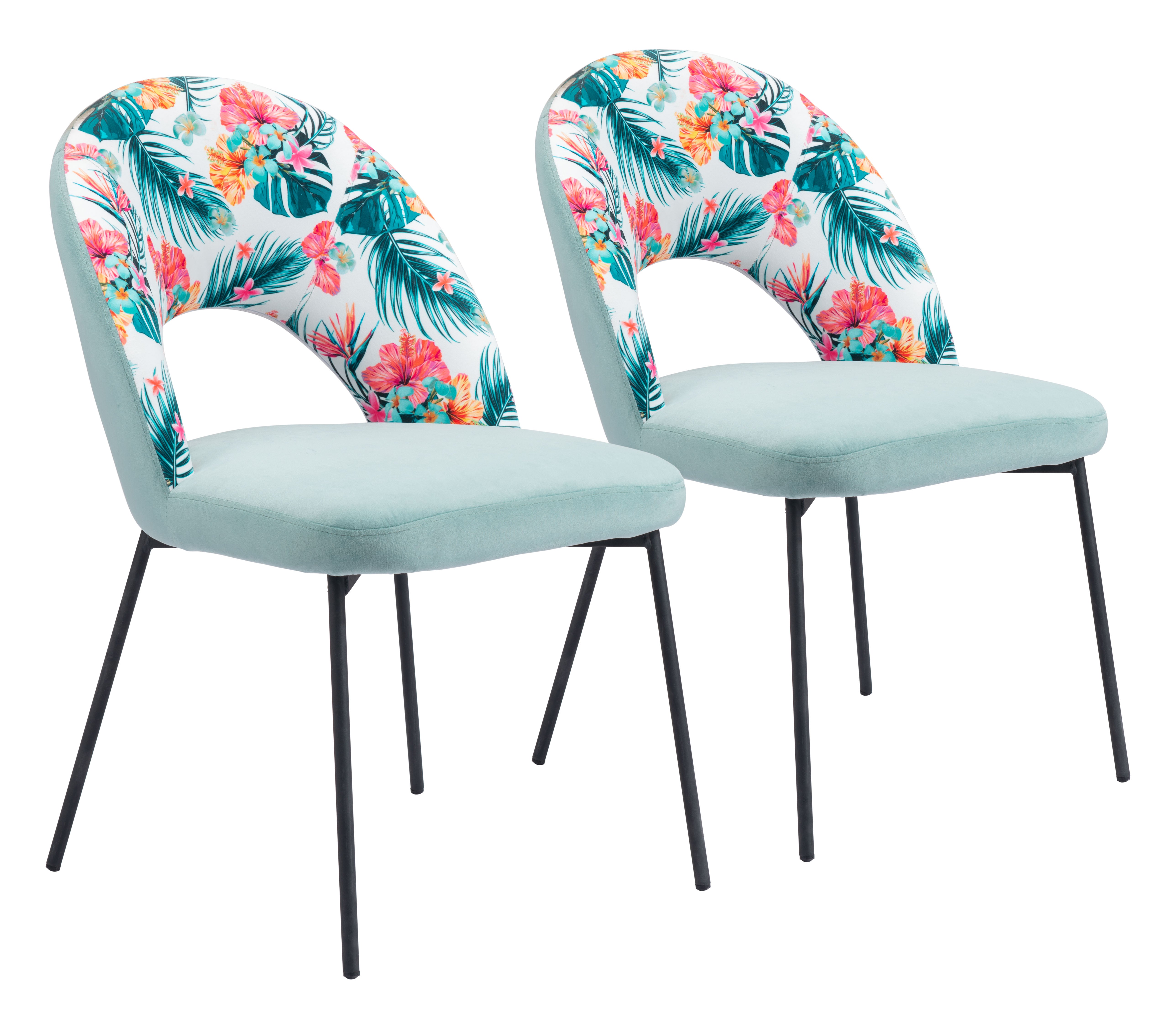 Bethpage Dining Chair (Set of 2) Multicolor Print & Green