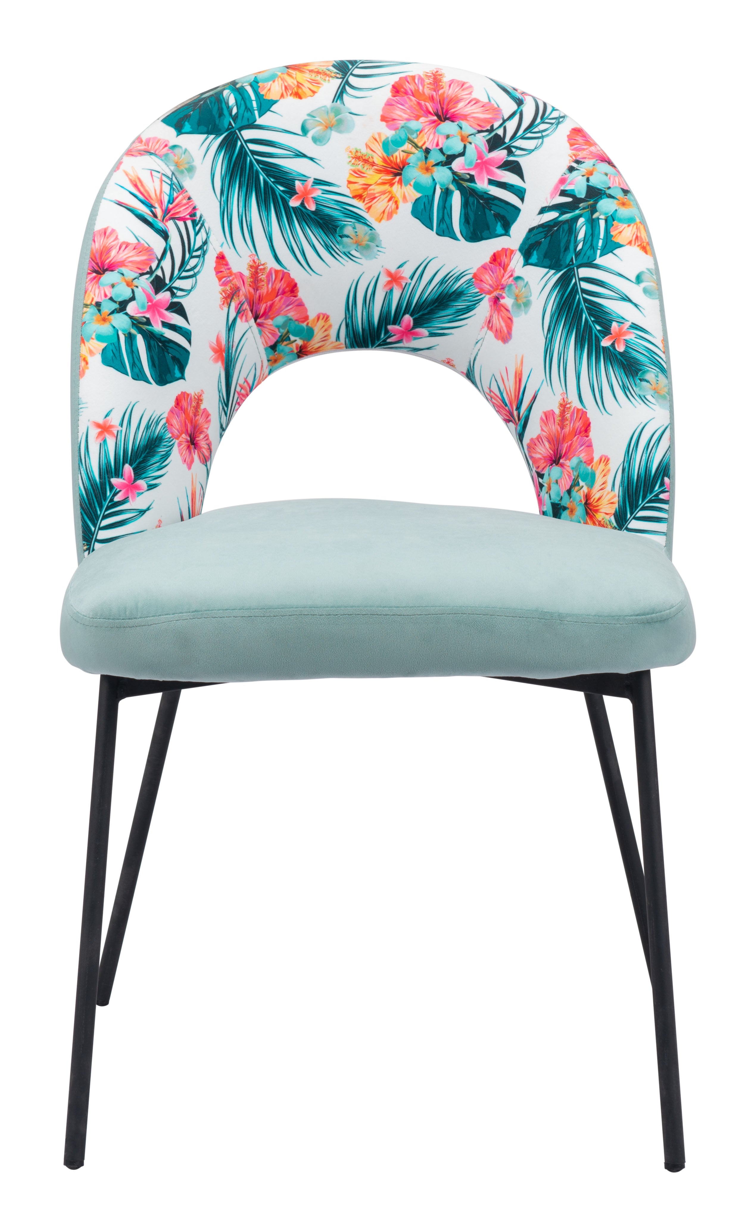 Bethpage Dining Chair (Set of 2) Multicolor Print & Green