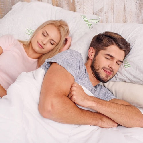 2-Pack Queen Bamboo Memory Foam Pillows – Hypoallergenic Shredded Fill & Washable Cover | Trufairs