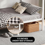 Four adults around a black metal bunk bed in a shared bedroom