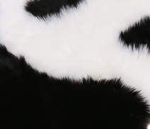 Heart Shaped Rug – Fluffy Faux Fur Plush Area Rug for Bedroom
