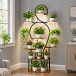 Plant stand with grow lights illuminating multiple tiers of potted plants beside a window