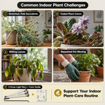 Woman tending plants on a multi-tier plant stand with grow lights