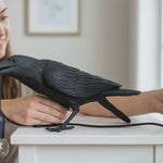 Gothic Raven Lamp – Dark Academia Table Light
