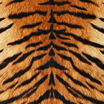 Faux Cowhide Rug – Animal Print Area Rug for Living Room, Bedroom & Office