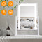 Vanity Mirror with Lights,3 Lighting Colors Dimmable Brightness Smart Touch Control 10X Magnifying Mirror 360°Rotation LED Lighted Makeup Mirror for Desk Bedroom Dressing Room