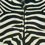 Faux Cowhide Rug – Animal Print Area Rug for Living Room, Bedroom & Office