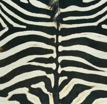 Faux Cowhide Rug – Animal Print Area Rug for Living Room, Bedroom & Office