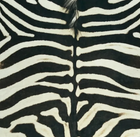 Faux Cowhide Rug – Animal Print Area Rug for Living Room, Bedroom & Office